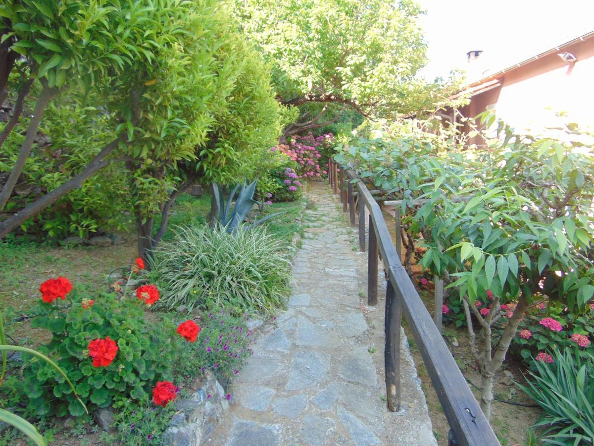 Casa Roberto B&B 萨沃纳 外观 照片