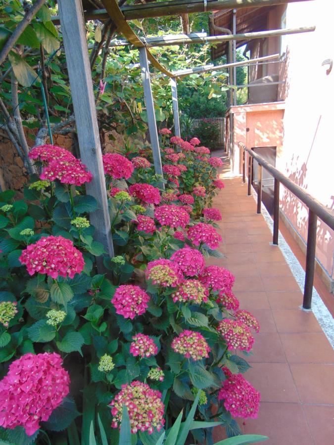Casa Roberto B&B 萨沃纳 外观 照片