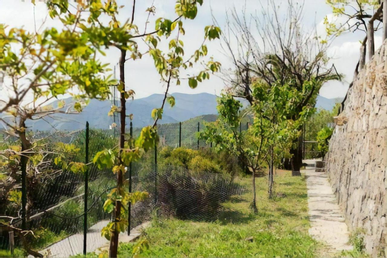 Casa Roberto B&B 萨沃纳 外观 照片